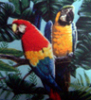 parrot_gallery.jpg